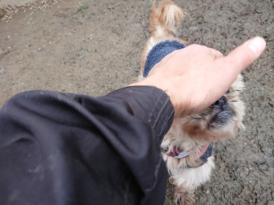 f:id:roukenhome-ann:20190125050333j:plain