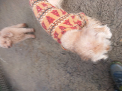 f:id:roukenhome-ann:20190125050339j:plain