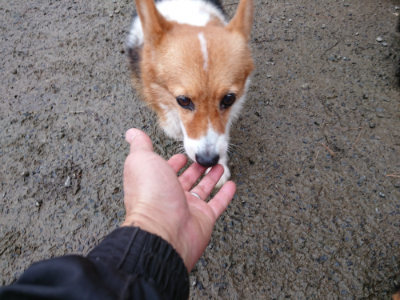 f:id:roukenhome-ann:20190125050438j:plain