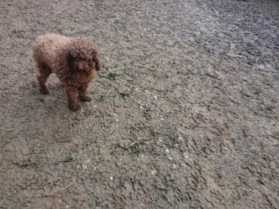 f:id:roukenhome-ann:20190125050449j:plain