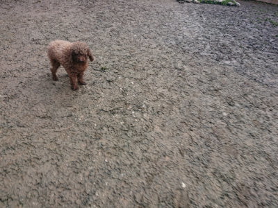 f:id:roukenhome-ann:20190125050519j:plain
