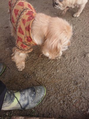 f:id:roukenhome-ann:20190125050529j:plain