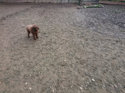 f:id:roukenhome-ann:20190125050544j:plain