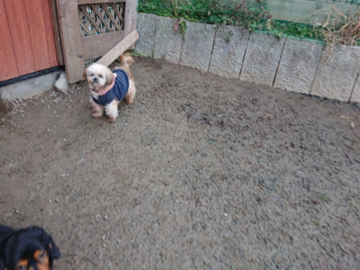 f:id:roukenhome-ann:20190125050554j:plain