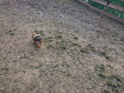 f:id:roukenhome-ann:20190125050605j:plain