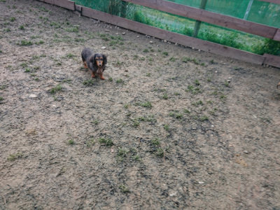 f:id:roukenhome-ann:20190125050620j:plain