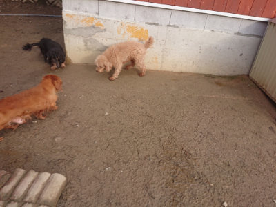f:id:roukenhome-ann:20190125050636j:plain