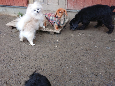 f:id:roukenhome-ann:20190125050658j:plain