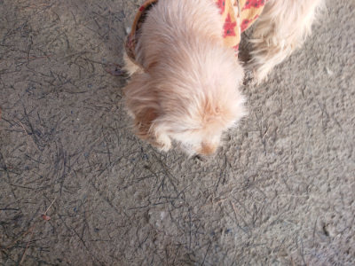 f:id:roukenhome-ann:20190125050708j:plain