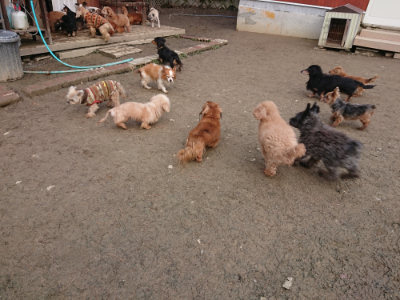 f:id:roukenhome-ann:20190125050713j:plain