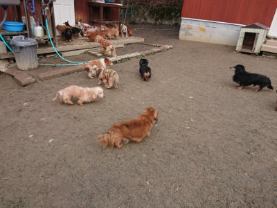 f:id:roukenhome-ann:20190125050905j:plain
