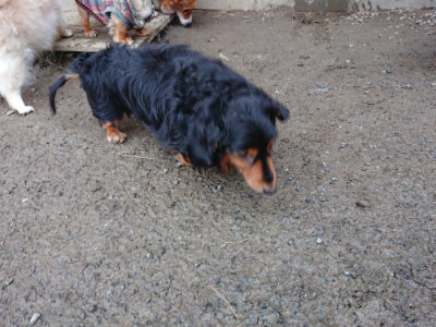 f:id:roukenhome-ann:20190125050917j:plain