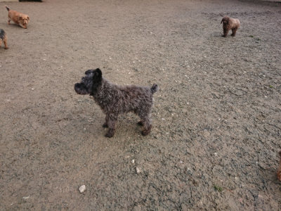 f:id:roukenhome-ann:20190125051003j:plain