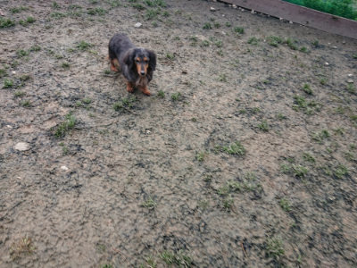 f:id:roukenhome-ann:20190125051020j:plain