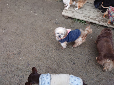 f:id:roukenhome-ann:20190125051053j:plain