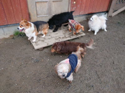 f:id:roukenhome-ann:20190125051058j:plain