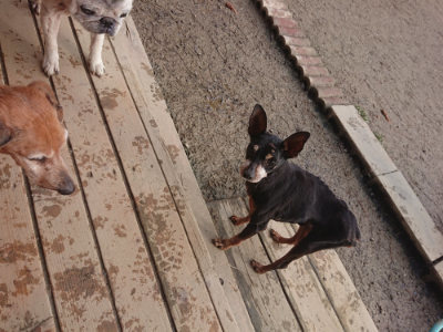 f:id:roukenhome-ann:20190125051104j:plain