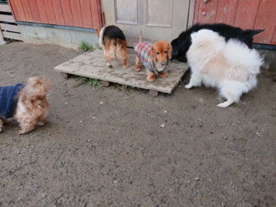 f:id:roukenhome-ann:20190125051124j:plain