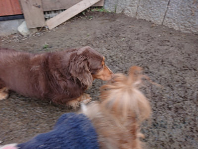 f:id:roukenhome-ann:20190125051239j:plain