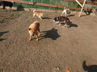 f:id:roukenhome-ann:20190126083246j:plain