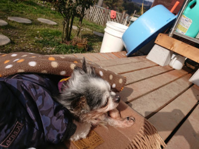 f:id:roukenhome-ann:20190126083252j:plain