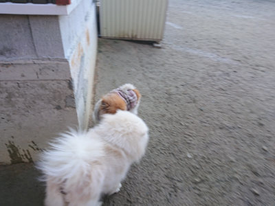 f:id:roukenhome-ann:20190126083306j:plain