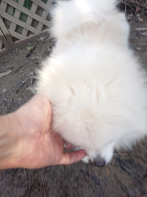 f:id:roukenhome-ann:20190126083333j:plain