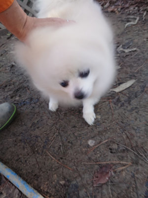 f:id:roukenhome-ann:20190126083340j:plain