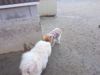 f:id:roukenhome-ann:20190126083357j:plain