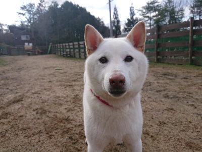 f:id:roukenhome-ann:20190126083438j:plain