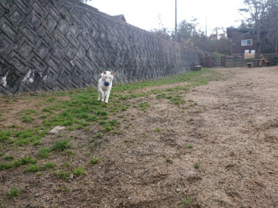 f:id:roukenhome-ann:20190126083513j:plain