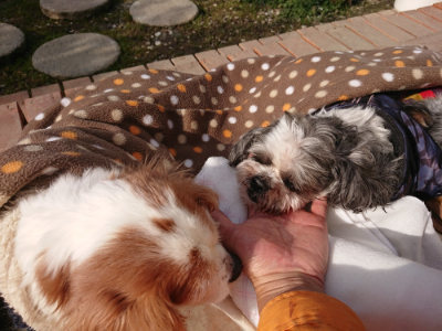 f:id:roukenhome-ann:20190126083527j:plain