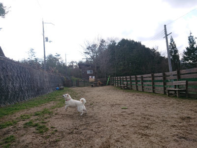 f:id:roukenhome-ann:20190126083541j:plain
