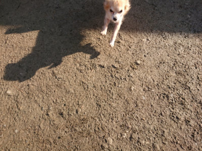 f:id:roukenhome-ann:20190126084008j:plain
