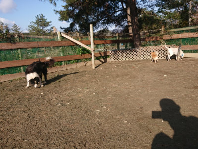 f:id:roukenhome-ann:20190126085801j:plain