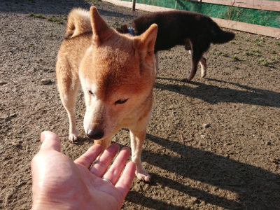 f:id:roukenhome-ann:20190126085828j:plain