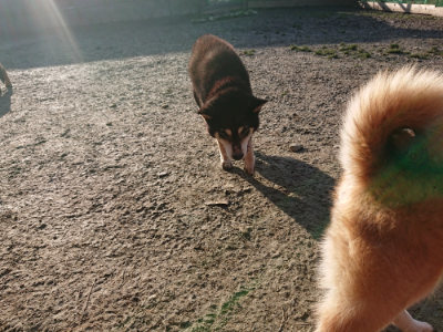 f:id:roukenhome-ann:20190126090108j:plain