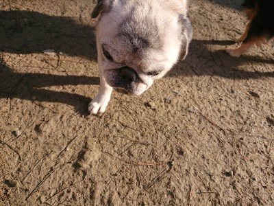 f:id:roukenhome-ann:20190126090122j:plain