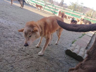 f:id:roukenhome-ann:20190126090201j:plain