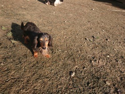 f:id:roukenhome-ann:20190126090235j:plain