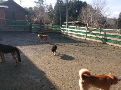 f:id:roukenhome-ann:20190126091133j:plain