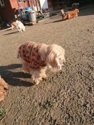 f:id:roukenhome-ann:20190126091142j:plain