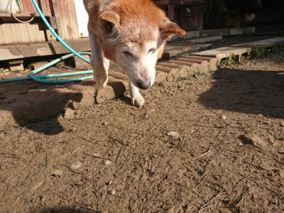 f:id:roukenhome-ann:20190126113631j:plain