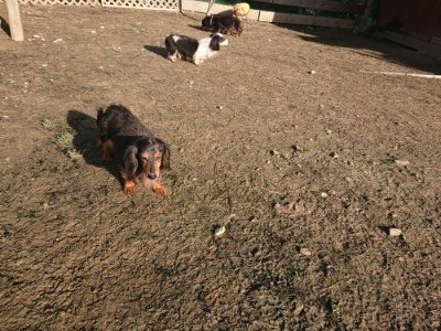 f:id:roukenhome-ann:20190126113743j:plain
