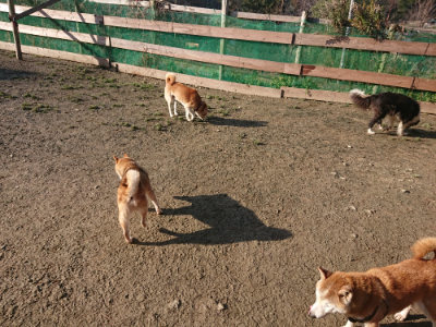 f:id:roukenhome-ann:20190126123546j:plain