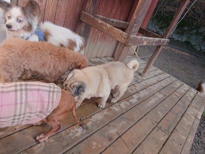 f:id:roukenhome-ann:20190126123647j:plain