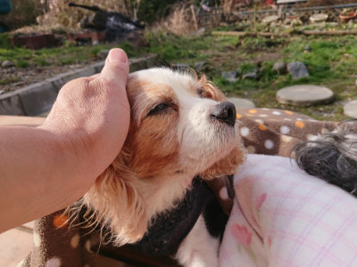 f:id:roukenhome-ann:20190126124020j:plain