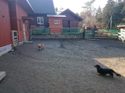 f:id:roukenhome-ann:20190126124057j:plain