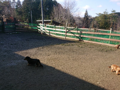 f:id:roukenhome-ann:20190126124237j:plain