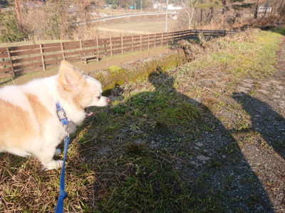 f:id:roukenhome-ann:20190126124250j:plain